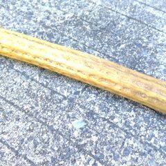  ≪民族楽器≫レインスティック サボテン 楽器 雨音 海 波 ロング アンデス　        	272050000SK960の画像