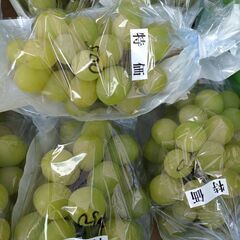 シャインマスカット　100グラム250円〜の画像