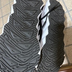 adidas アディダス　ランニングシューズ　30cmの画像