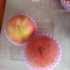山形県の桃　【川中島】2個入1パック　税込500円の画像