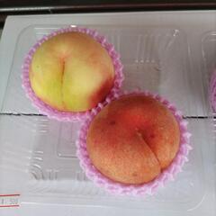 山形県の桃　【川中島】2個入1パック　税込500円の画像