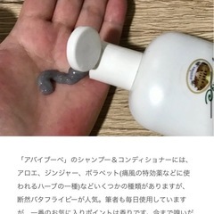 アバイブーベの画像