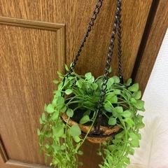 ニトリ フェイクグリーン 飾り台 造花 花瓶などインテリア用品の画像