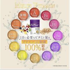 2袋売り Fe Plus フェリチン鉄 3.3mg  鉄分 マルチビタミン 美容成分 サプリ ビタミン ミネラル23種 30日分 の画像