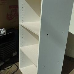 ★カラーBOX★の画像