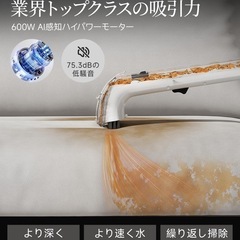 最終価格‼️早い者勝ち！【新品・未使用】uwant　リンサークリーナー 18000pa ペットクリーナー B300proの画像