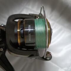 釣具　DAIWA　シーバスロッド、リールの画像