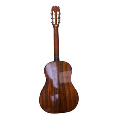 （お話中）タカミネ ミニアコースティックギター JS-141の画像