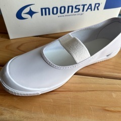 上履き新品（片方）の画像