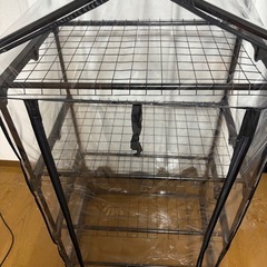 観葉植物、多肉植物用ラックの画像