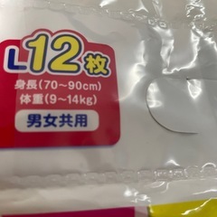66.  水遊びパンツ　Lサイズの画像