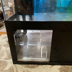 小型オーバーフロー水槽　引き取り限定の画像
