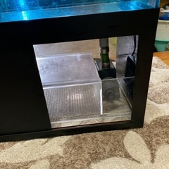 小型オーバーフロー水槽　引き取り限定の画像
