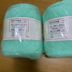 毛糸　2個セット　ニチイ　エクスラン　エーゼット　極細の画像