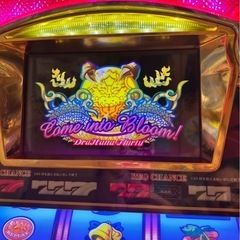 パイオニア ドラゴンハナハナ の画像