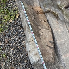 庭石 中くらいサイズから 　0円  お好きな分をどうぞの画像