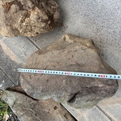 庭石 中くらいサイズから 　0円  お好きな分をどうぞの画像