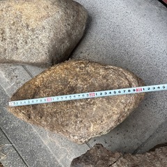 庭石 中くらいサイズから 　0円  お好きな分をどうぞの画像