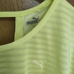 pumaトレーニングウェアの画像