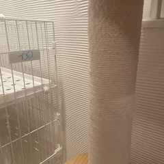 キャットタワーの画像
