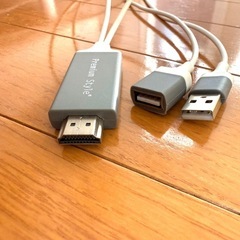 ミラーリングケーブル　iPhone iPad用　USBタイプの画像