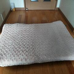 座椅子の画像
