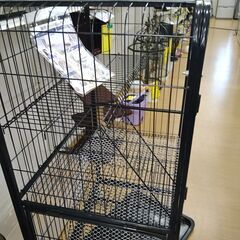 リユースのサカイ浦和店 【E297】ペット用ゲージ猫用の画像
