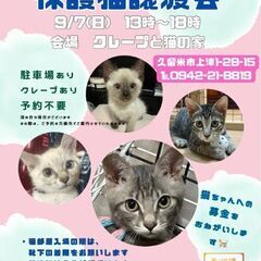 保護猫譲渡会😸9月7日(日)