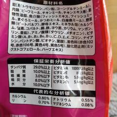 ドライフード　ねこ元気　1.6kgの画像