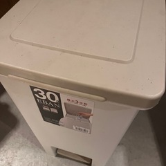 30ℓ ペダル式　ゴミ箱 の画像