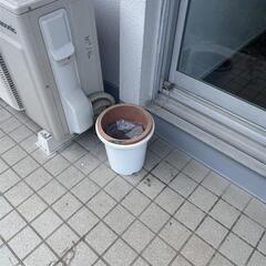 【無料で差し上げます】大型コンポスト、植木鉢などの画像
