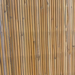 涼感！籐の敷物の画像
