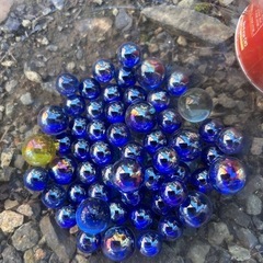 金魚鉢　餌付きの画像