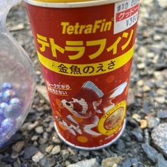 金魚鉢　餌付きの画像