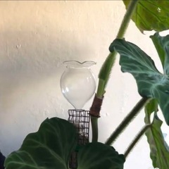 給水ボール　給水器　モスポール　1個の画像