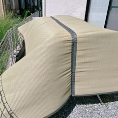 9/7(月)受け渡し様決まりました。委託品　大きめゴザの画像