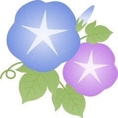 アサガオのつる