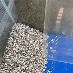 水槽他飼育セットの画像