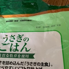 うさぎのごはんの画像