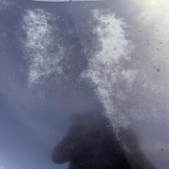 フィットシャトルハイブリッド！の画像