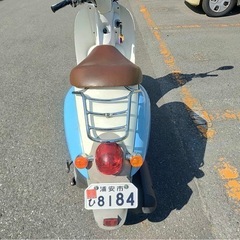 ススキの画像