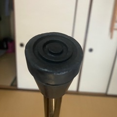 杖　伸縮可　10段階
の画像