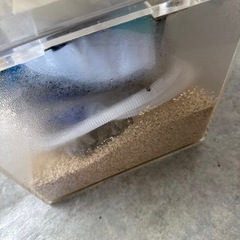 水槽の画像