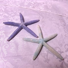海のオブジェの画像