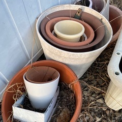 鉢まとめて差し上げます。　植木鉢　花　花壇　の画像