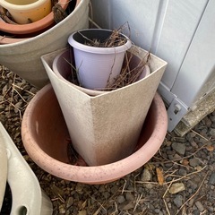 鉢まとめて差し上げます。　植木鉢　花　花壇　の画像