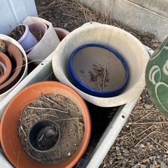 鉢まとめて差し上げます。　植木鉢　花　花壇　の画像
