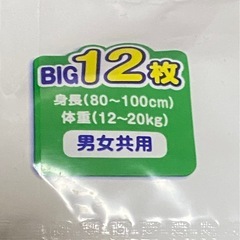 スイミングパンツ　グーン  BIG　１１枚の画像