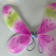 【引取限定】なりきり 蝶々 2個セットの画像