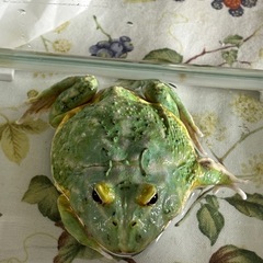 お取り引き先見つかりましたので一旦〆ますの画像